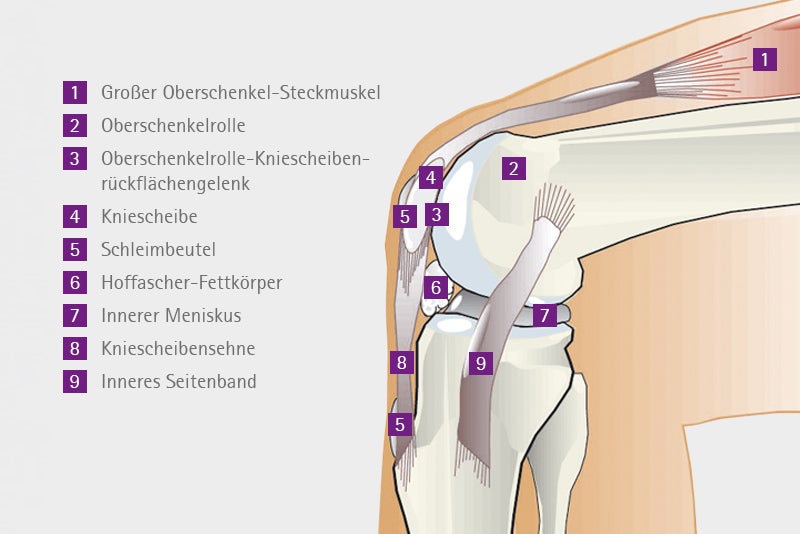 Rechtes Kniegelenk von der Seite