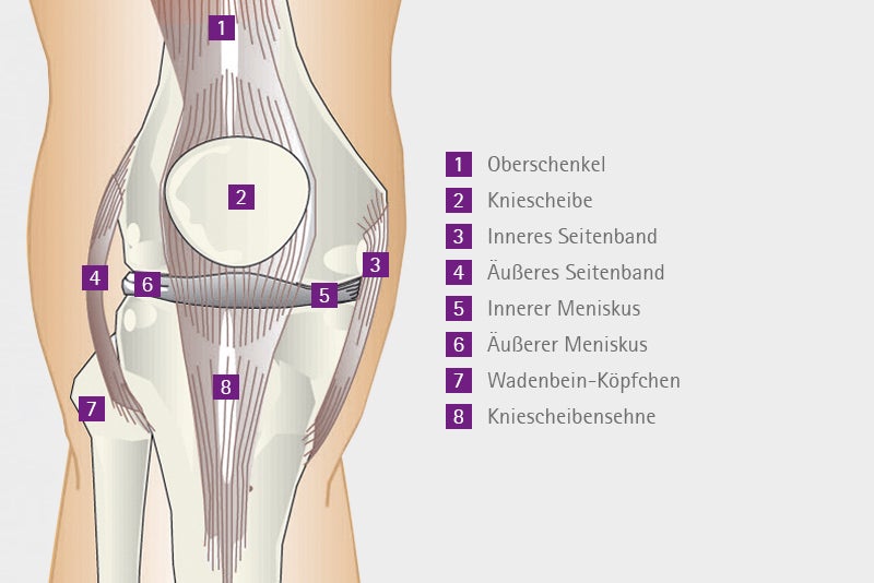 Rechtes Kniegelenk von vorne