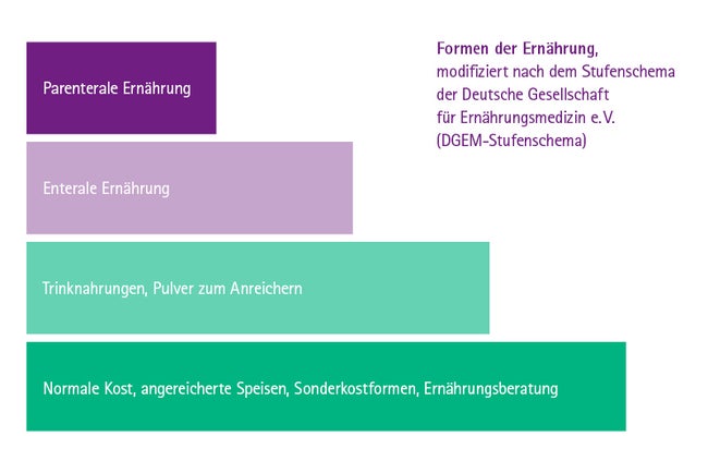 Infografik Stufenmodell Formen der Ernährungstherapie