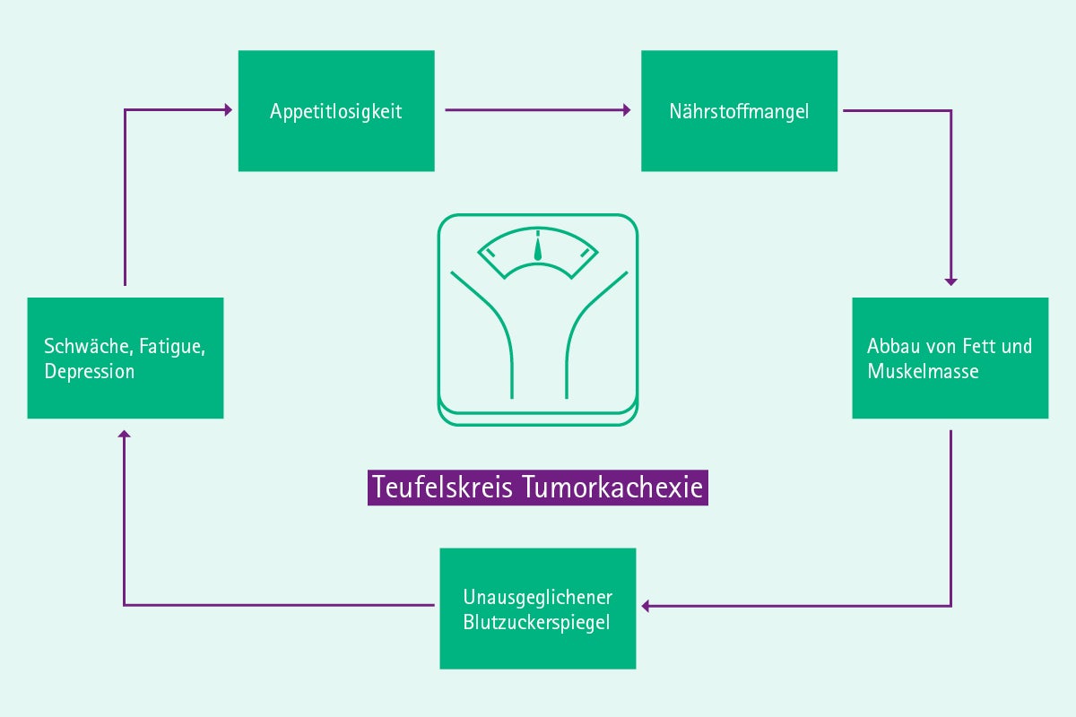 Infografik Kachexie bei Krebs als Teufelskreis