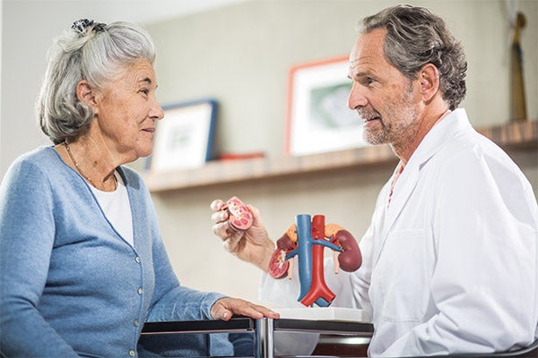 Arzt erklärt Patientin mit Niereninsuffizienz am Nierenmodell ihre Nierenerkrankung