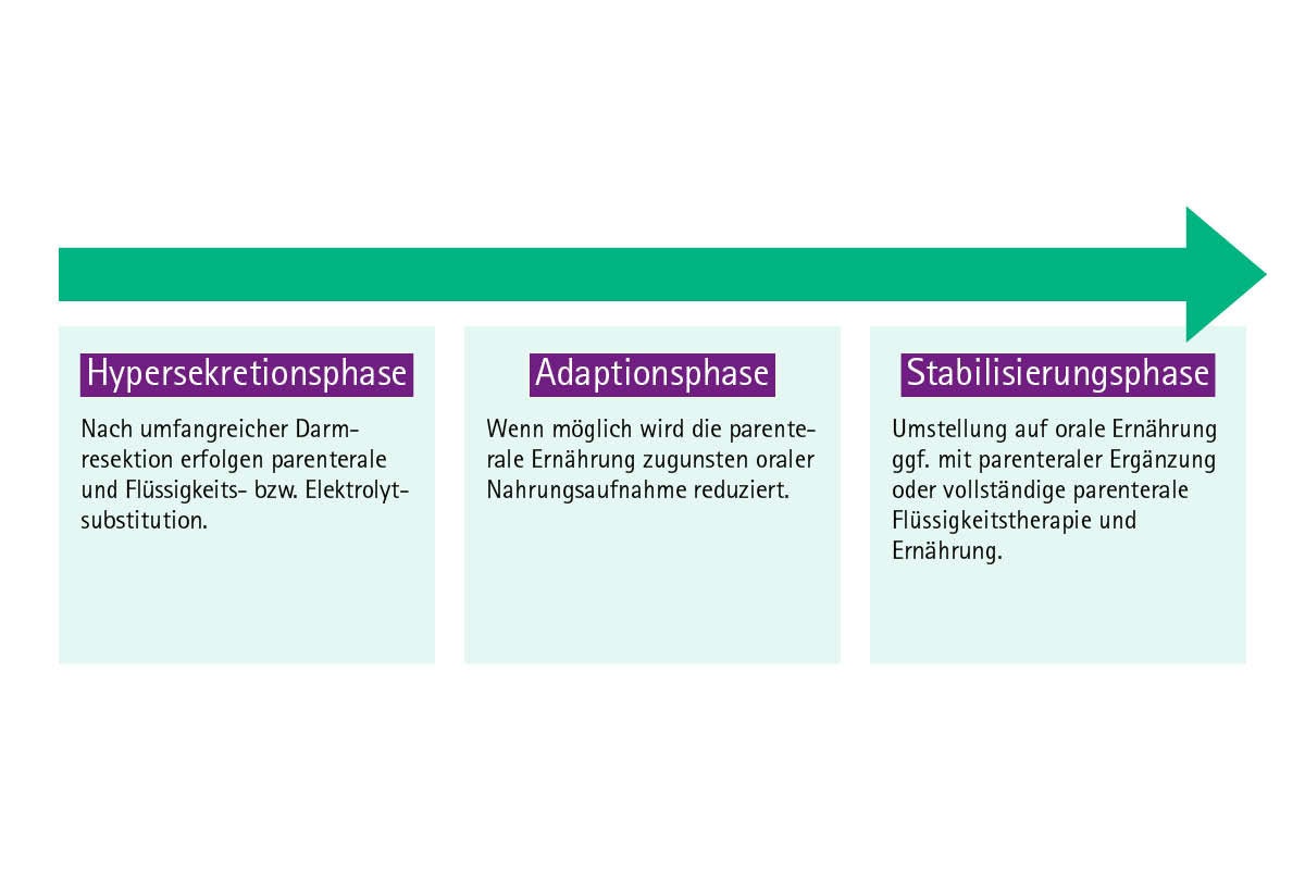 Infografik: Verlauf und Therapiephasen des Kurzdarmsyndroms